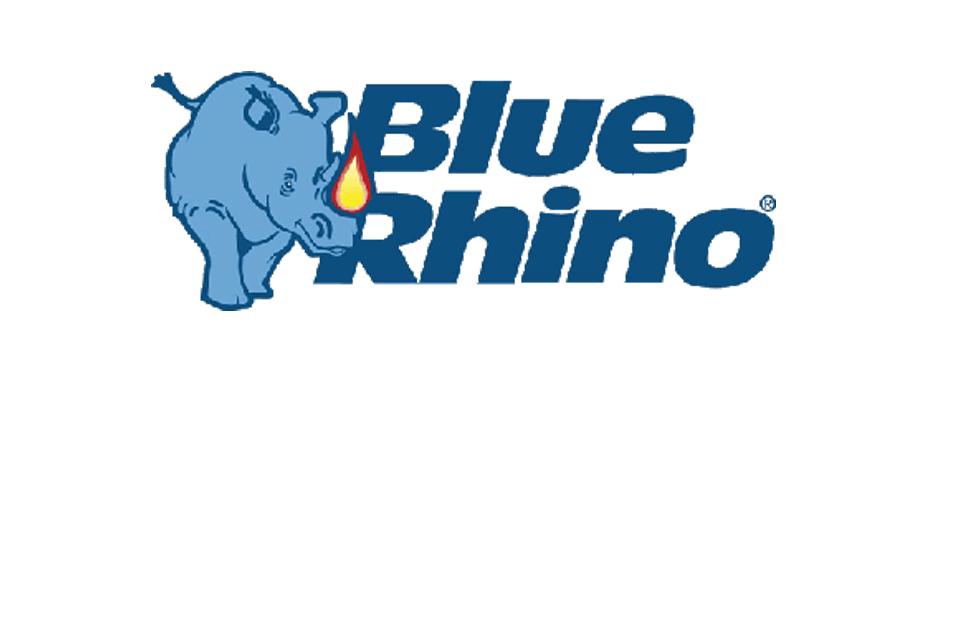Blue Rhino UC Davis Graduate School of Management